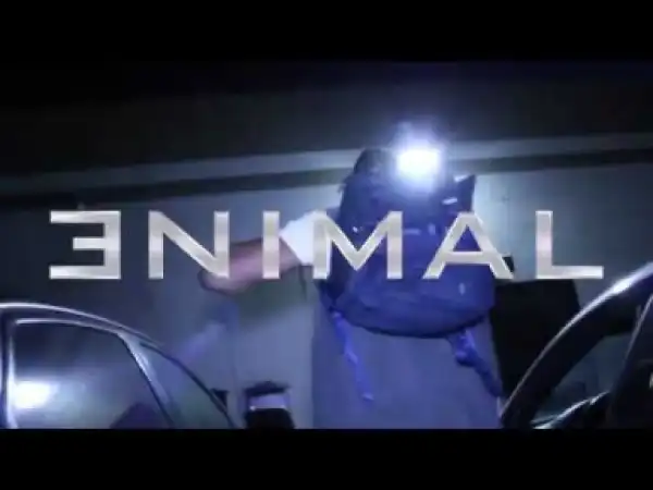 Video: Enimal - Something Real
